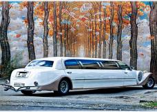 Экскалибур Фантом - М 563 ВС 199