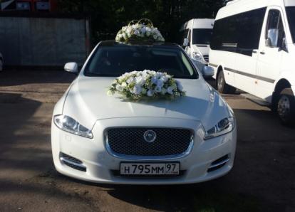 Ягуар XJ - Н 795 ММ 97