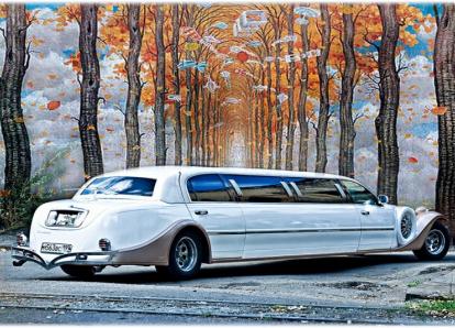 Экскалибур Фантом - М 563 ВС 199